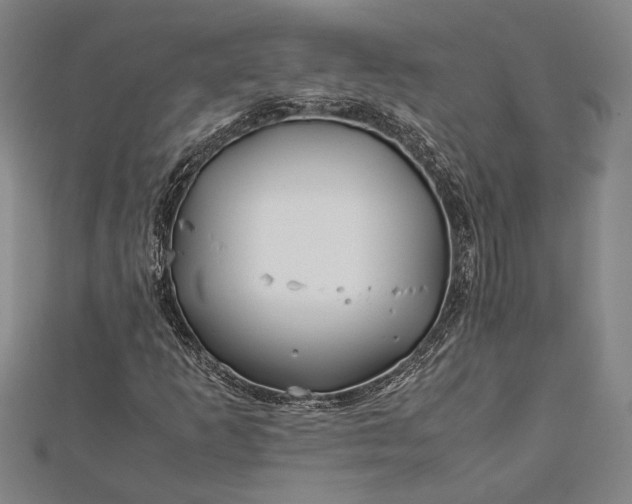 X0000112371253200908271310