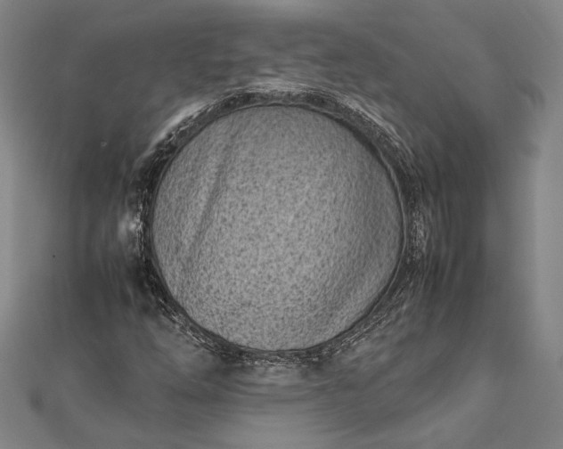 X0000112371254200908271310