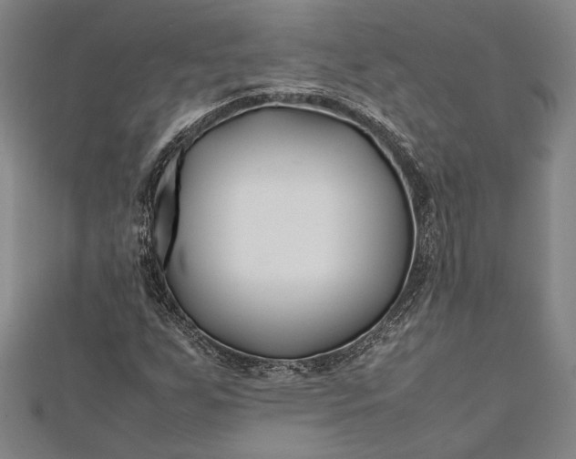 X0000112371255200908271310