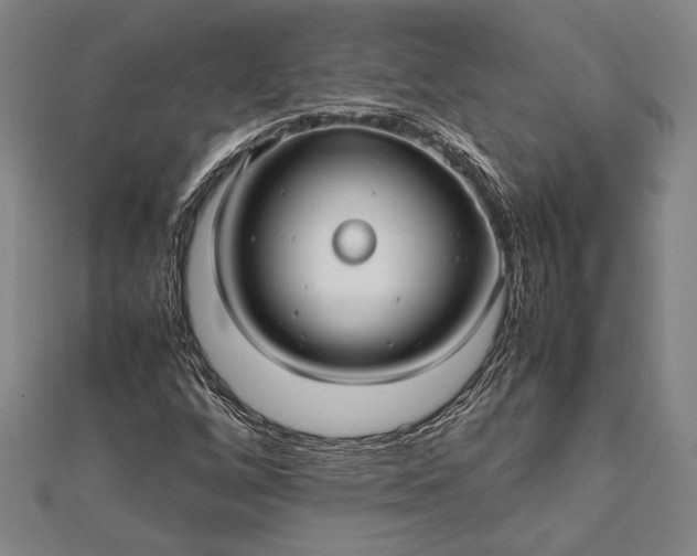 X0000112371256200908271310