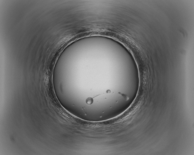 X0000112371257200908271310