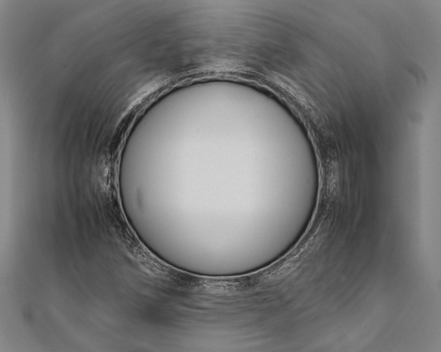 X0000112371258200908271310