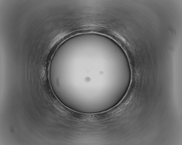 X0000112371259200908271310