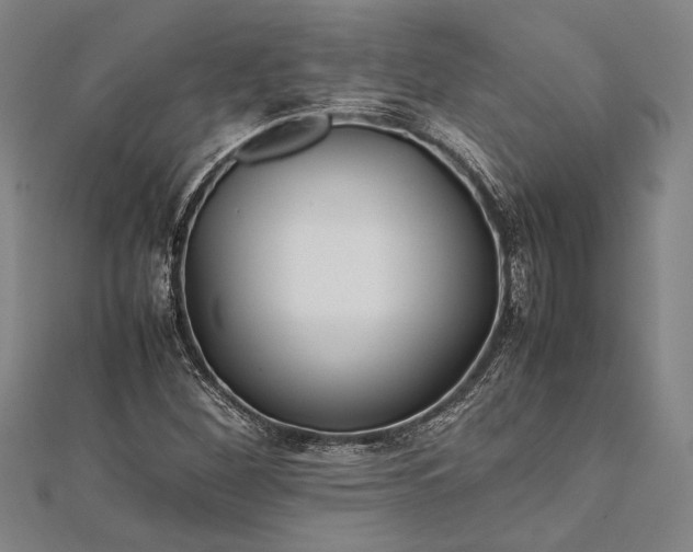 X0000112371260200908271310