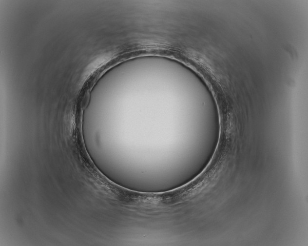 X0000112371261200908271310