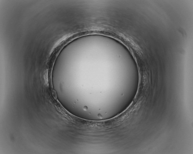 X0000112371262200908271310