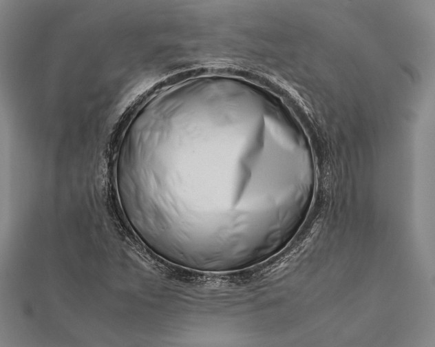 X0000112371263200908271310