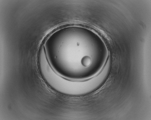 X0000112371264200908271310