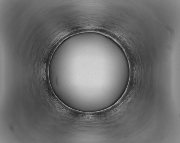 X0000112371265200908271310