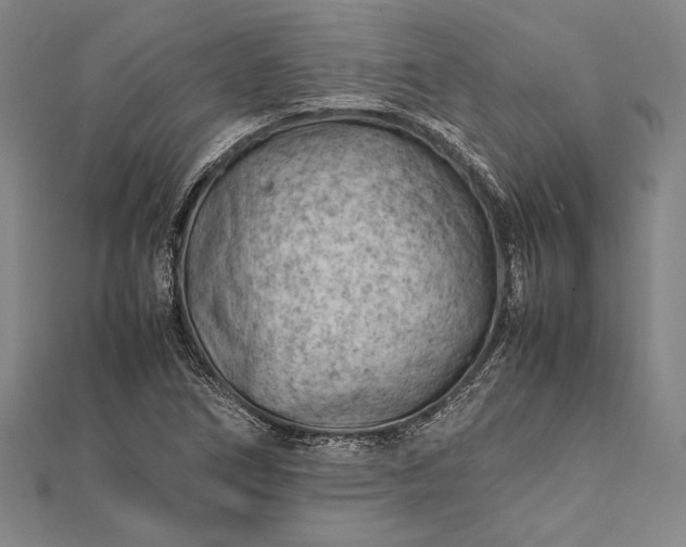 X0000112371266200908271310