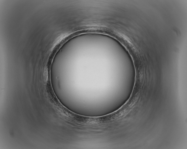 X0000112371267200908271310