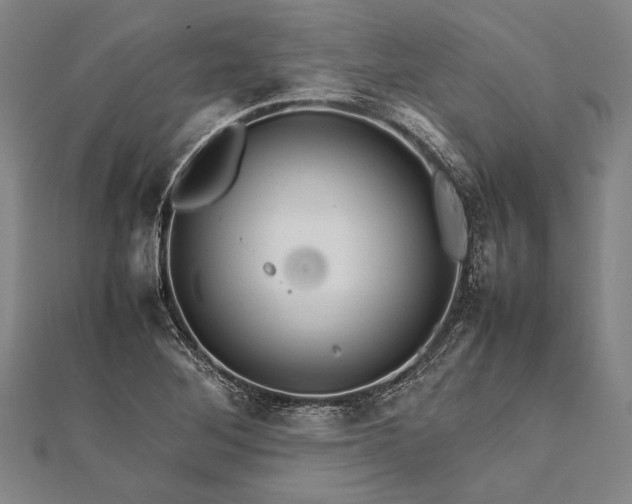 X0000112371268200908271310