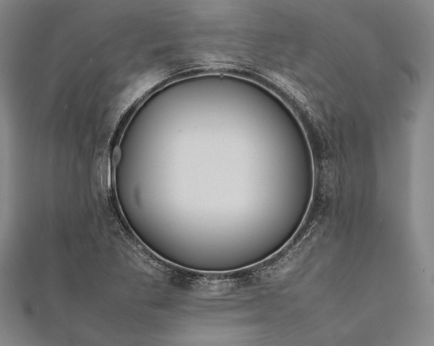 X0000112371269200908271310