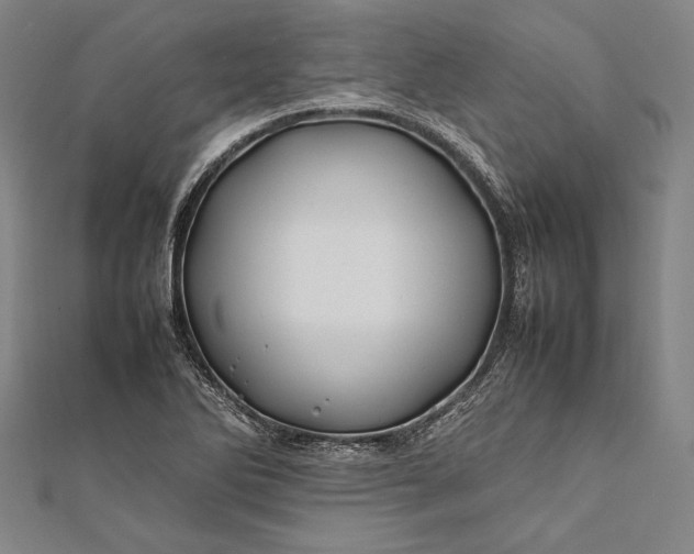 X0000112371270200908271310