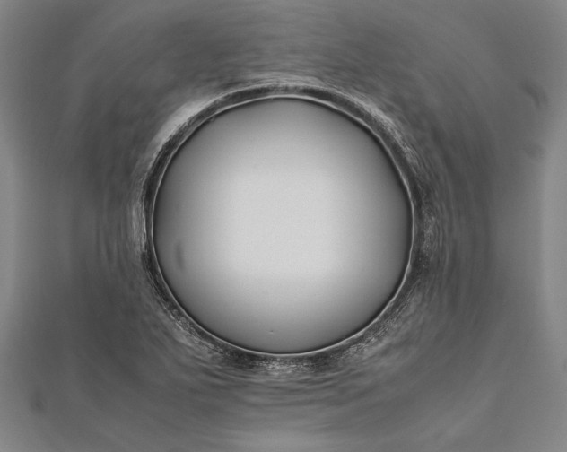 X0000112371271200908271310