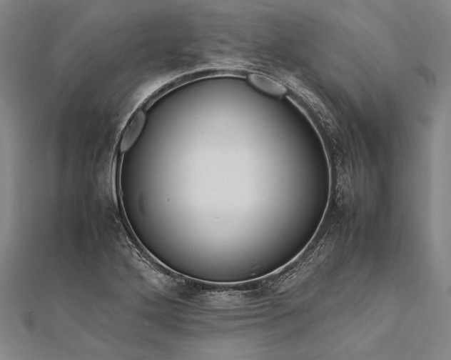 X0000112371272200908271310