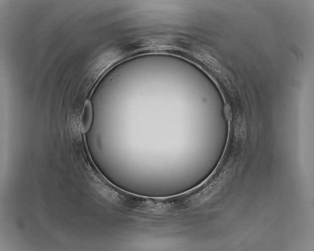 X0000112371273200908271310