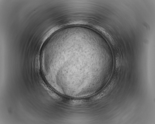 X0000112371274200908271310