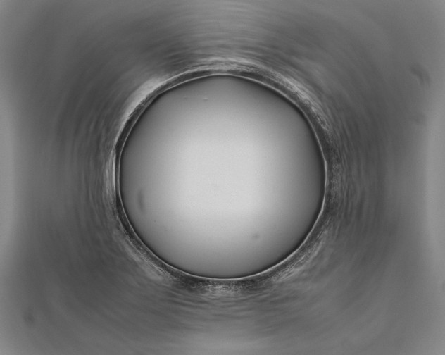 X0000112371275200908271310