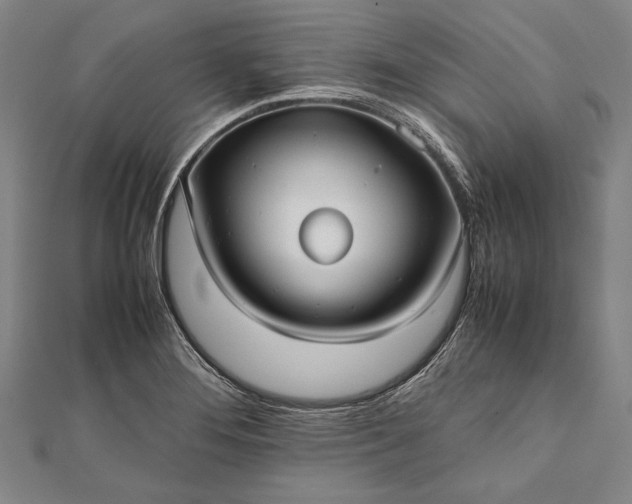 X0000112371276200908271310