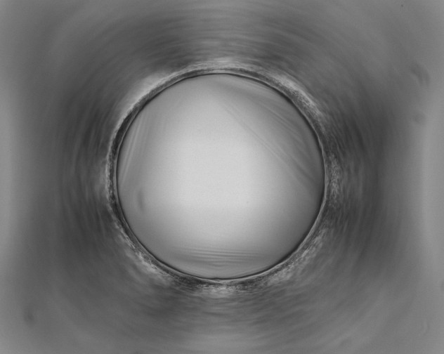 X0000112371278200908271310