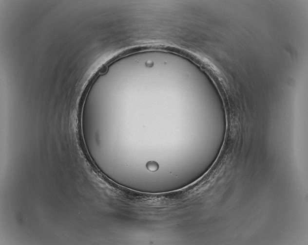 X0000112371279200908271310