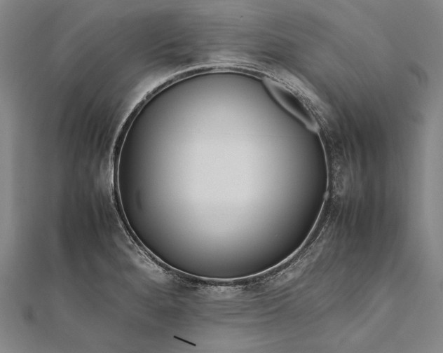 X0000112371280200908271310