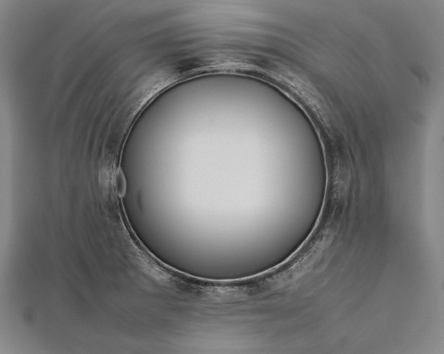 X0000112371281200908271310