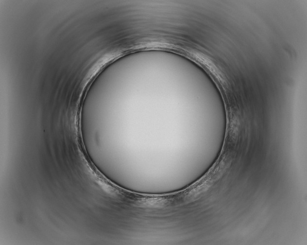 X0000112371282200908271310