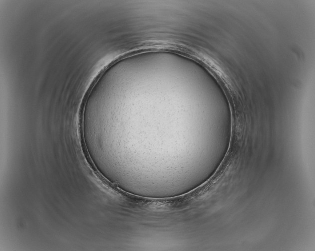 X0000112371283200908271310