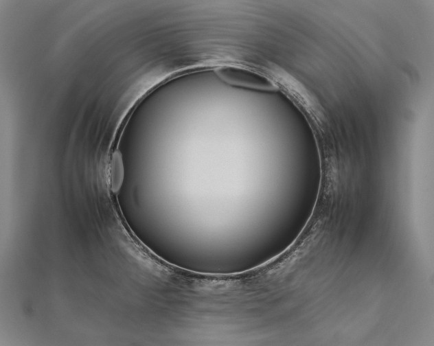 X0000112371284200908271310