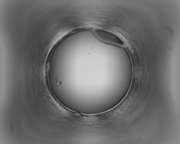 X0000112371285200908271310