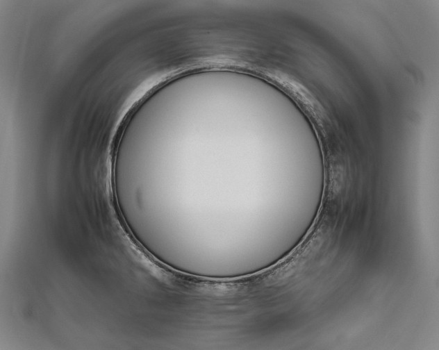 X0000112371286200908271310