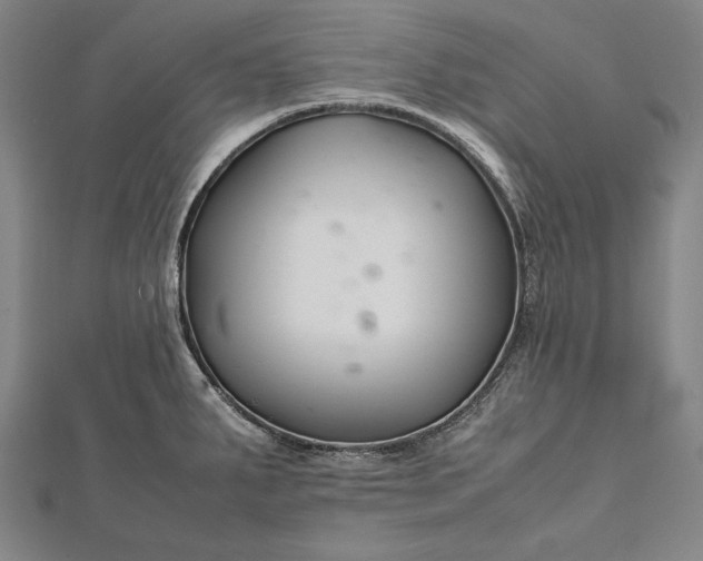 X0000112371287200908271310