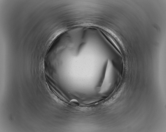 X0000112371289200908271310