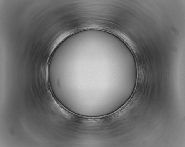 X0000112371290200908271310