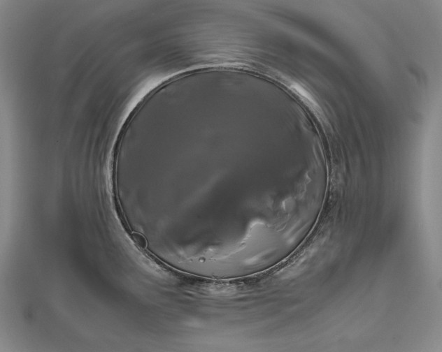 X0000112371291200908271310