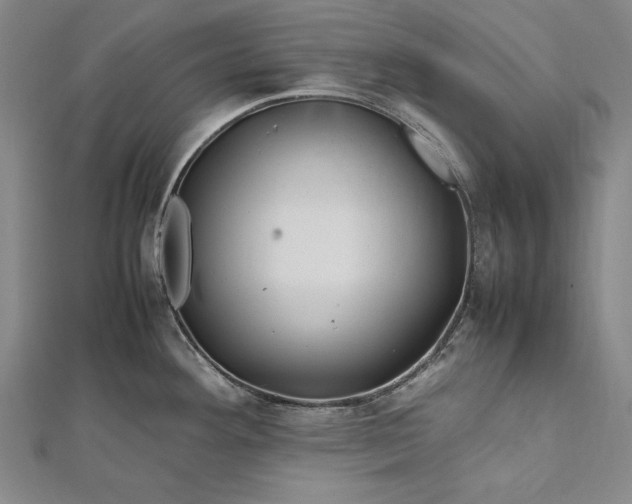 X0000112371292200908271310