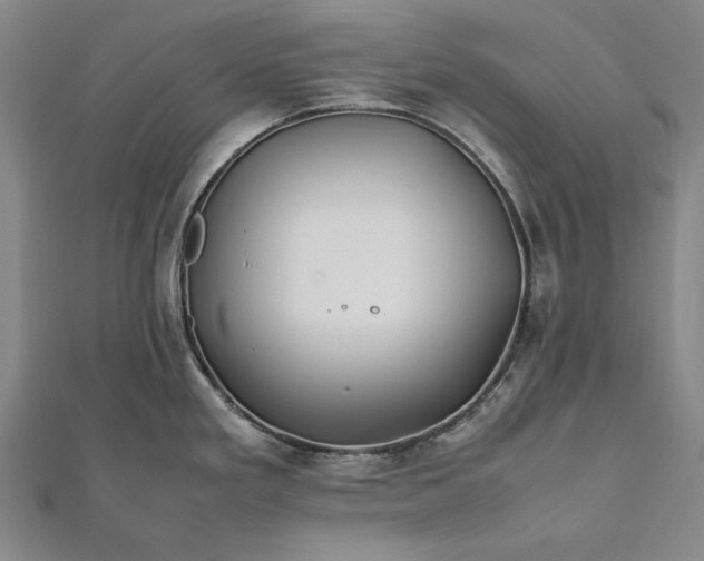 X0000112371293200908271310