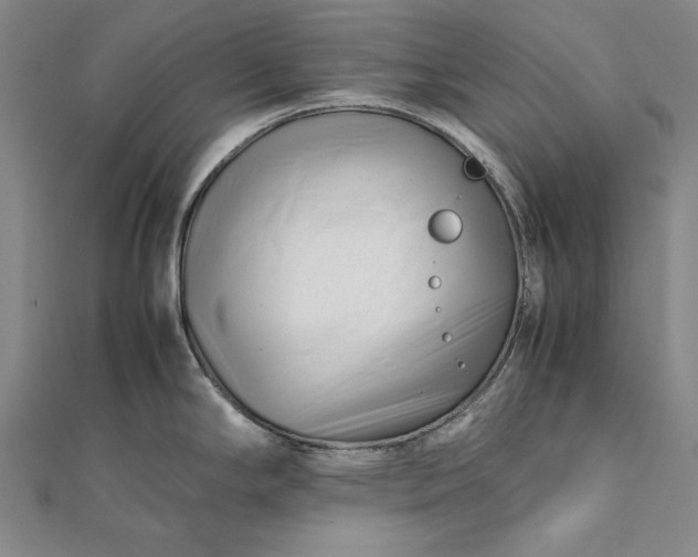 X0000112371294200908271310