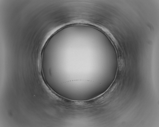 X0000112371295200908271310