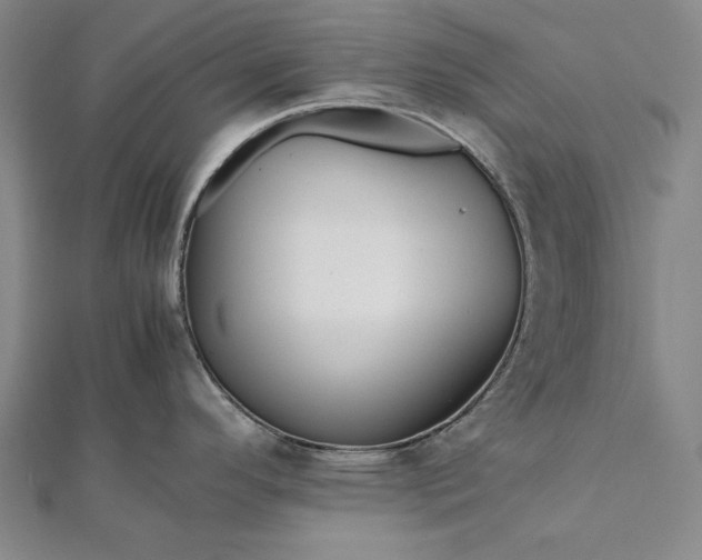 X0000112371296200908271310