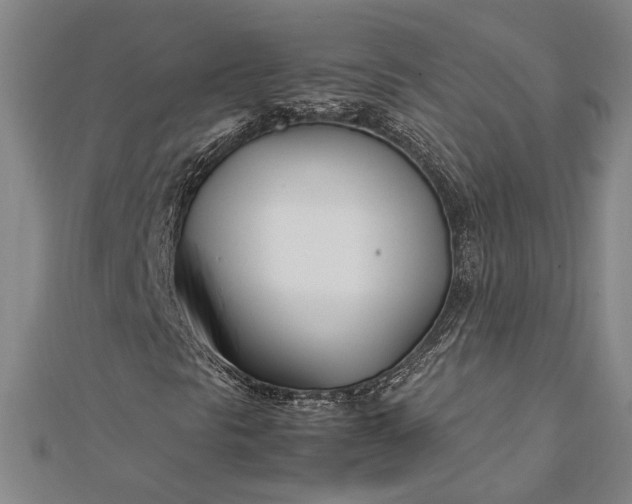 X0000112371297200908271309