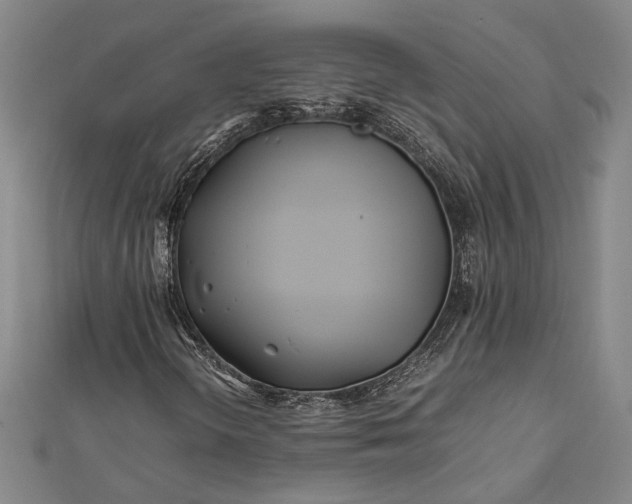 X0000112371298200908271309