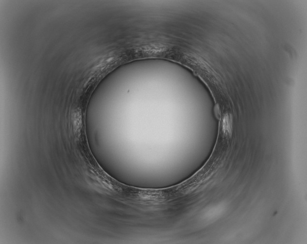 X0000112371299200908271309