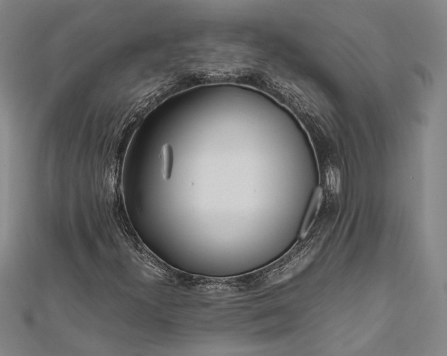 X0000112371300200908271309