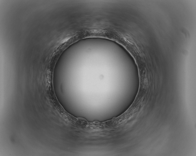 X0000112371301200908271309