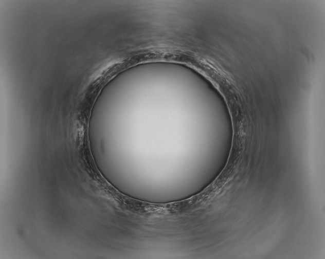 X0000112371302200908271309