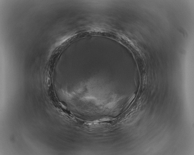 X0000112371303200908271309