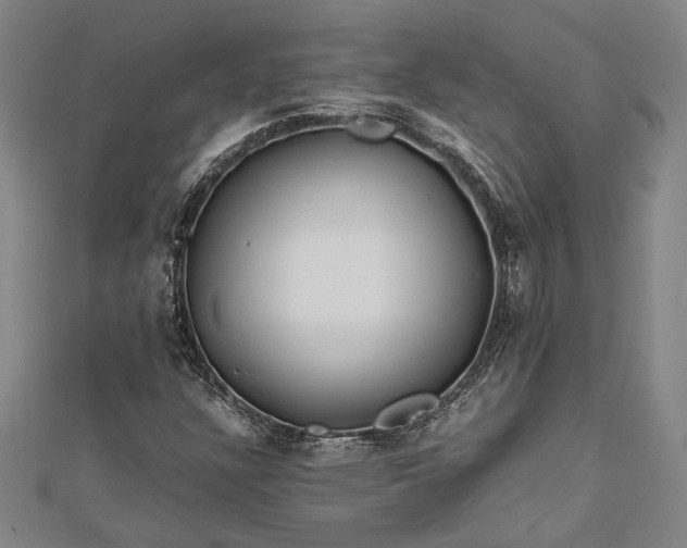 X0000112371304200908271309